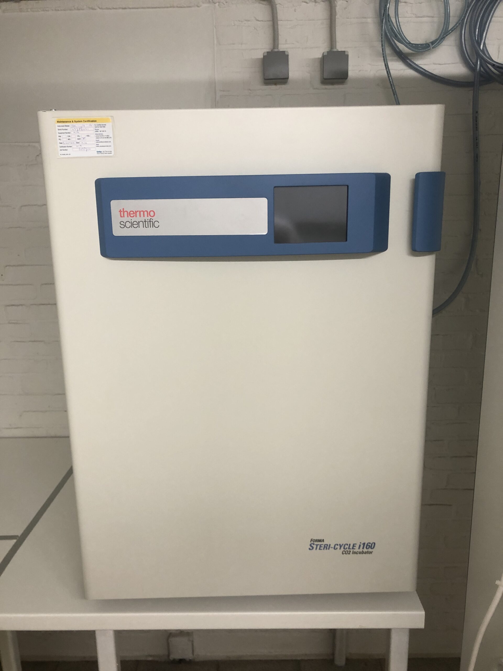 Thermo SteriCycle i160 CO2 incubator Labconsort